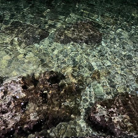 Afissos-Dream 3Studios المظهر الخارجي الصورة